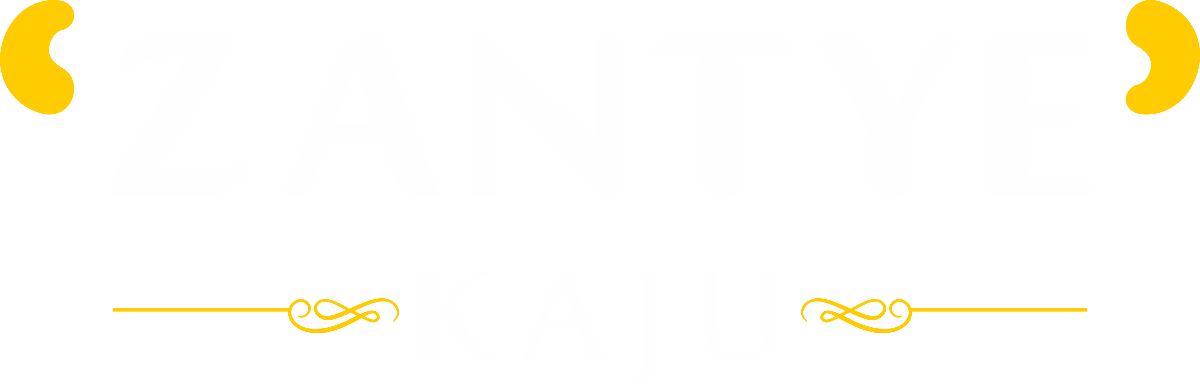 Zantye Kaju